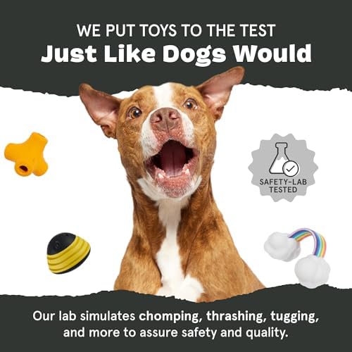 BarkBox Sven the Hedgie Rubber Dog Toy - Toy for Small Dogs - Image 6