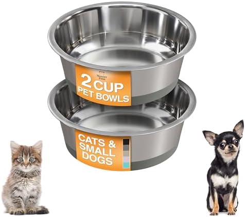 Neater Pet Brands Stainless Steel Dog Bowls with Non-Slip Rubber Bottom – 2 Cup (16 oz), Gray - Set of 2 Heavy Duty Metal Dog Bowls, Dishwasher Safe, Food or Water Bowl, Ideal for Small Dogs & Cats by NeaterPetBrands