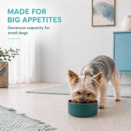 Havniva Ceramic Dog Bowls, 6.1” Dog Food and Water Bowl, Pet Feeding Bowl - Image 6