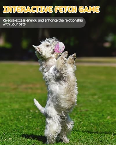 SCHITEC Dog Squeaky Toy Balls, Interactive Tennis Ball for Puppies Small Pet Medium Breed Dogs, Latex Rubber Puppy Fetch Play Toys - Image 6