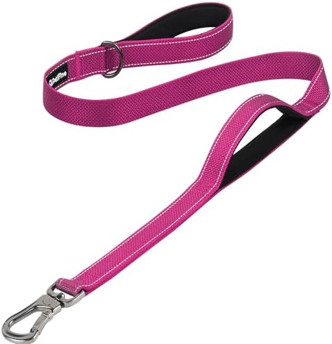 PetiFine 4FT Heavy Duty Dog Leash with Soft Padded Double Handle by PetiFine