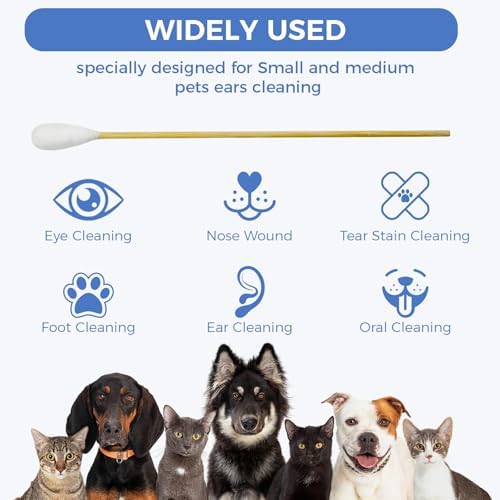 GOLD HONEY 6 Inch Large Cotton Swabs, Dog Ear Swabs with Bamboo Handle - Image 5