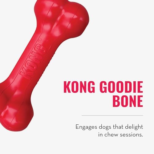 KONG Goodie Bone and Flyer Dog Toy Set, for Small Dogs - Image 6