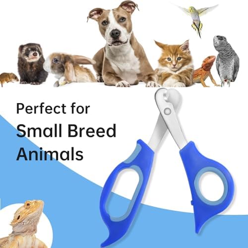 KEUYE Bearded Dragon Nail Clippers,Stainless Steel Bearded Dragon Toe Nail Clippers with Precise Angled Edges (Blue) - Image 4
