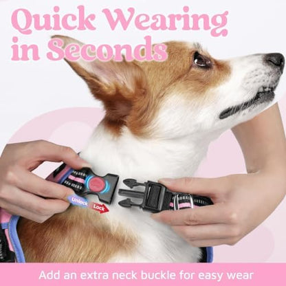 rabbitgoo Dog Harness for Large, No Pull 3 Buckles Easy On & Off - Image 2