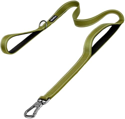PetiFine 6FT Heavy Duty Dog Leash with Soft Padded Double Handle by PetiFine