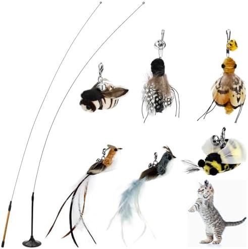 8 Pieces Cat Feather Toys Replacement Bird Insect Cat Toy with Flexible Steel Wires Wand Refills Cats Toy Replacement Natural Bird Feathers for Cats Toys by YoungerLife