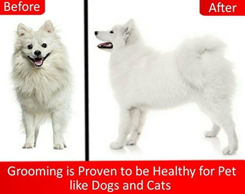 Mr. Peanut’s Pet Grooming Glove – Deshedding Hair Removal Mitt with Gentle Silicone Tips, Adjustable Wrist Strap & Breathable Mesh; Perfect for Dogs, Cats, Rabbits & Small Pets - Image 5