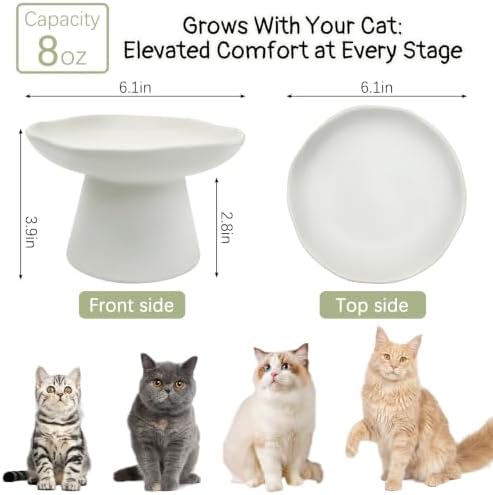 VCEPJH Raised Cat Food Bowls Shallow Cat Plate Pack of 2 Ceramic Elevated Cats Dish 6.1in Flat Anti Whisker Fatigue Wide Pet Food & Water Feeder for Indoor Kitty Kitten (White) - Image 2