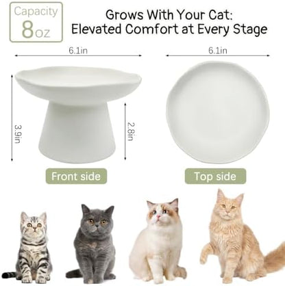 VCEPJH Raised Cat Food Bowls Shallow Cat Plate Pack of 2 Ceramic Elevated Cats Dish 6.1in Flat Anti Whisker Fatigue Wide Pet Food & Water Feeder for Indoor Kitty Kitten (White) - Image 2
