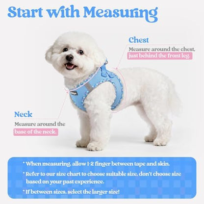 rabbitgoo Dog Harness Small Sized and Leash Set, Step-in Puppy Pet Vest - Image 2