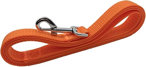TAIAN 4FT/5FT/6FT Strong Dog Leash, Nylon Dog Leashes for Small Medium Large Dogs (Orange, 1 in x 15 ft) - Image 3