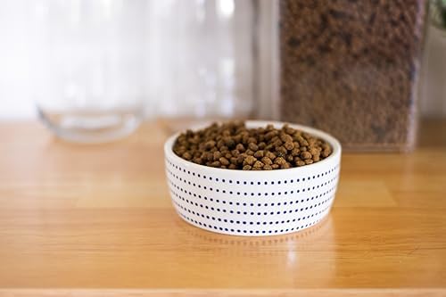 Pearhead Ceramic Cat Bowl, Holds 12 oz, Blue Dots - Image 6