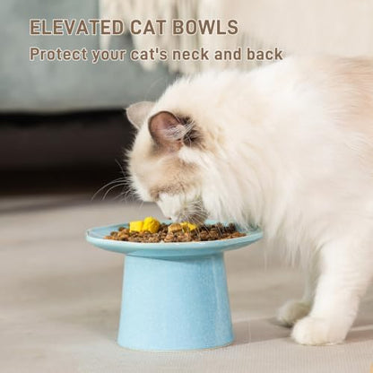 Shallow Wide 6" Elevated Cat Bowls Ceramic Raised Cat Food Dish, Anti Vomiting, Protect Cat's Spine, Pale Turquoise - Image 5