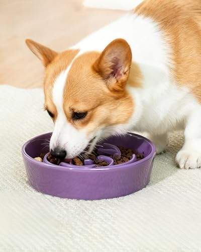 TRUVIC Ceramic Slow Feeder Dog Bowls, 1.5 Cup Puzzle Slow Feeder Bowls for Fast Eaters, Ceramic Dog Food Dish no Black Chin, Puzzle Bowl for Medium Dogs, Purple - Image 2