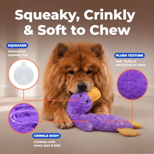 Best Pet Supplies Interactive Squeaky Dog Toy - Crinkle Duck, Purple - Image 3