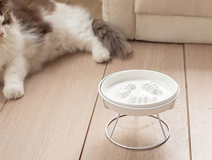 Ceramic Elevated Slow Feeder Cat Bowl, Anti Vomit, Removable Dish, White - Image 6