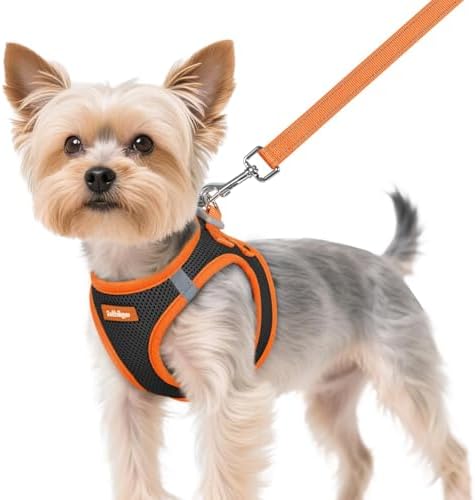 rabbitgoo Dog Harness Small Sized and Leash Set, Step in Soft Vest by rabbitgoo
