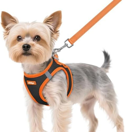 rabbitgoo Dog Harness Small Sized and Leash Set, Step in Soft Vest by rabbitgoo