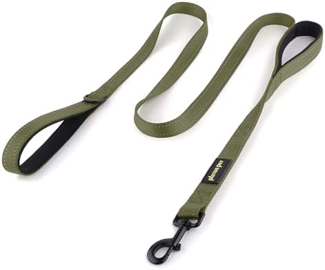 Plutus Pet Double Handle Dog Leash, 4 FT Long, for Medium Large Dogs by PLUTUSPET