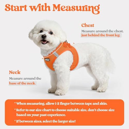 rabbitgoo Dog Harness Small Sized and Leash Set, Step-in Puppy Pet Vest - Image 2