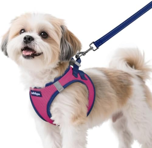 rabbitgoo Dog Harness Small Sized and Leash Set, Step in Soft Vest by rabbitgoo