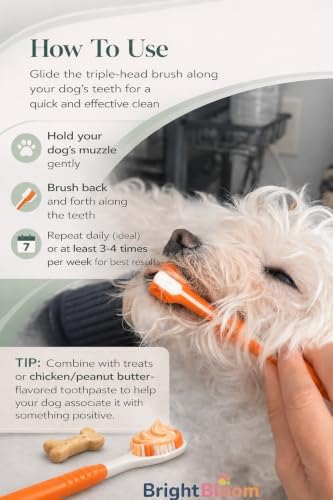 Triple Head Dog Toothbrush- 3- Sided Pet Toothbrush for Faster Cleaning, Helps Reduce Plaque & Bad Breath, Easy to Use Dog Dental Care Tool for Medium &Large Dogs. (Orange) - Image 2