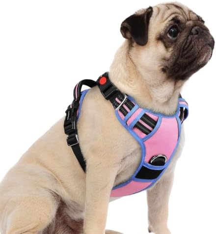 rabbitgoo Dog Harness Small Sized, No Pull 3 Buckles Easy On & Off by rabbitgoo