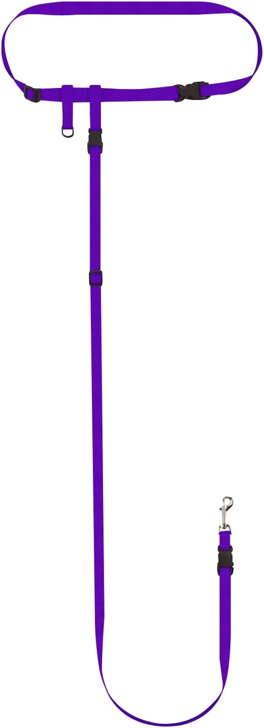 The Buddy System Hands Free Dog Leash, Adjustable Leash for Running, Jogging, Training and Service Dogs, Great for Small, Medium and Large Dogs, Made in USA (Purple, Small Dog System (Large Belt))