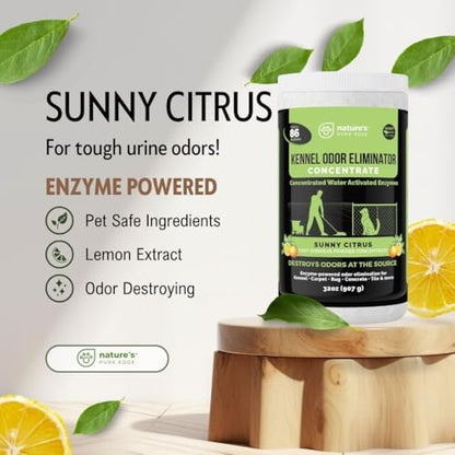 Nature's Pure Edge Enzyme Powder Concentrate, Sunny Citrus - Image 5