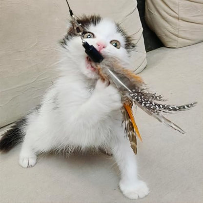 miwoowim 7PCS Cat Wand Refills, 6 Natural Feathers & Replacement String - Image 3