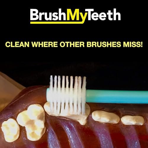 Brush My Teeth Medium Dog Toothbrush - Rounded Brush Head -Soft Flexible Bristles- for Safe and Gentle Brushing for Doggie, Any Medium Breed or Puppy, Daily Brushing Adds Years of Healthy Life - Image 4