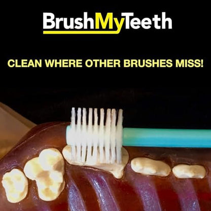 Brush My Teeth Medium Dog Toothbrush - Rounded Brush Head -Soft Flexible Bristles- for Safe and Gentle Brushing for Doggie, Any Medium Breed or Puppy, Daily Brushing Adds Years of Healthy Life - Image 4