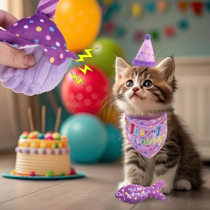 BINGPET Cat Birthday Decorations Outfit, 5 Pcs Catnip Toys for Indoor Cats - Image 6