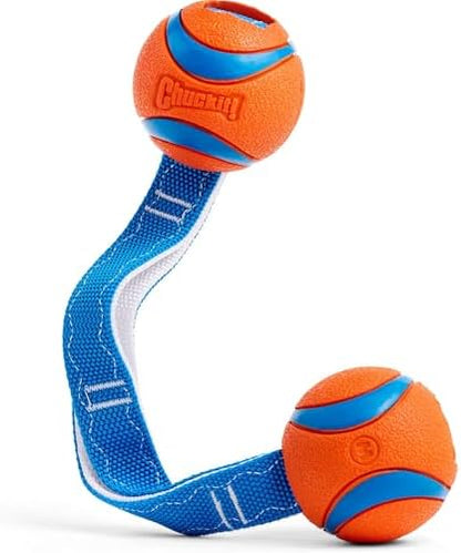 Chuckit! Ultra Duo Tug Dog Toy, Medium 2.5in, Orange and Blue, 20-60lbs by Chuckit