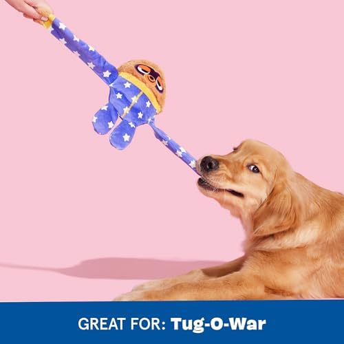 BarkBox Slow Jams Dan Dog Toy - for Dogs - Image 6