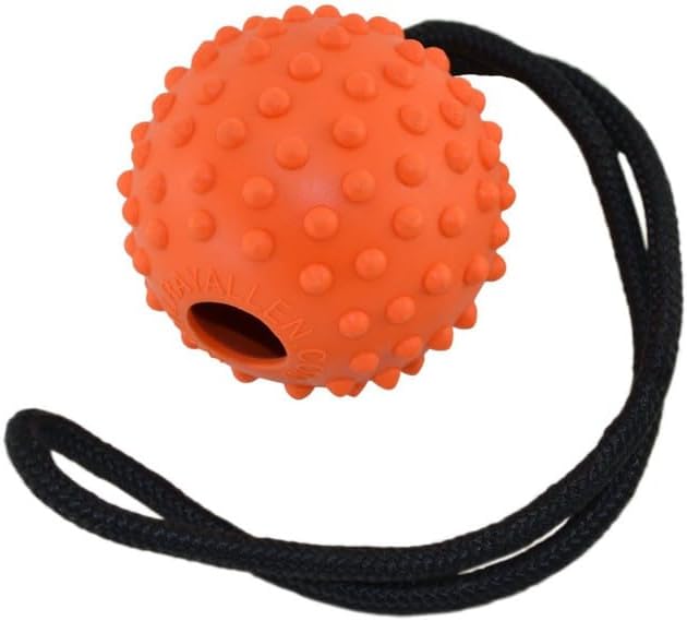 Ray Allen Ball On Rope Toy - Professional Quality Dog Training (Orange w/Loop Handle, 2.5")