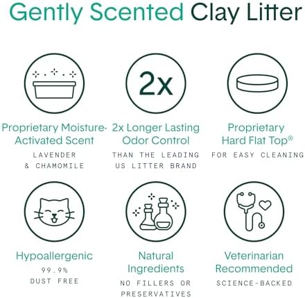 Boxiecat Cat Litter, Clumping, 32lbs, Gently Scented | 30 Day Odor Control | Clay | 2 Pack - Image 3