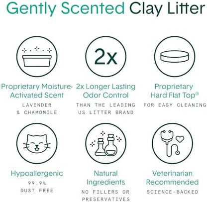 Boxiecat Cat Litter, Clumping, 32lbs, Gently Scented | 30 Day Odor Control | Clay | 2 Pack - Image 3