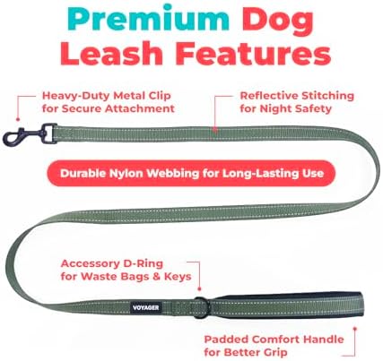Best Pet Supplies Voyager Nylon Dog Leash - Moss Green, Medium - Image 2