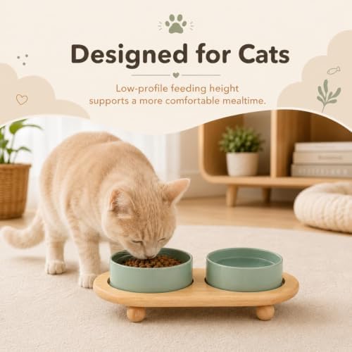 Havniva Raised Cat Bowl 5.1” Elevated Ceramic Cat Food and Water Bowl Set - Image 3
