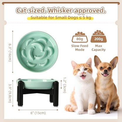 Elevated Ceramic Slow Feeder Cat Bowl, 6.3'' Wide Whisker Friendly - Image 2