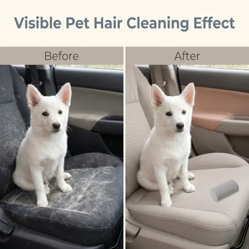 2 PCS Pet Hair Remover Pumice Stone, Pet Hair Removal Tool - Image 4