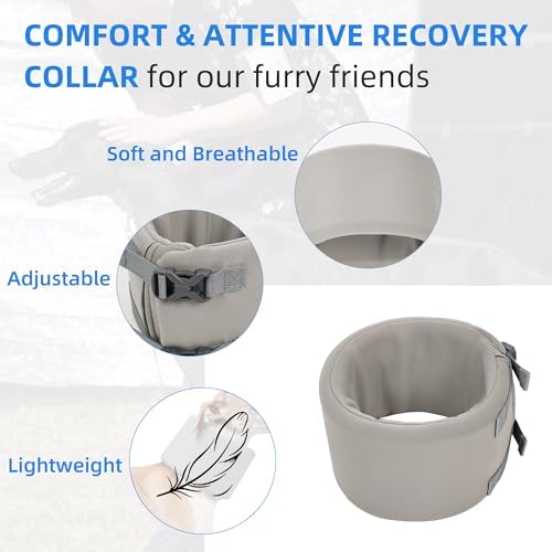 Dog Neck Brace for Pet After Surgery Recovery Adjustable Breathable Neck Cervical Cone，Dog Cone Collar Recovery Head Cone for Small Medium Dogs Puppies Kittens with Spinal IVDD Lssues (Gray,L) - Image 3
