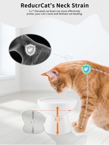 LoeJan Elevated Cat Food and Water Bowls Set, Extra Wide and Raised Ceramic Bowls, Anti-Vomit Whisker-Free Pressure Cat Feeder for Kittens to Adult Cats and Small Dogs (White, Water Bowl) - Image 3