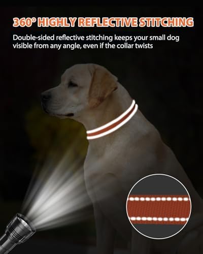 Joytale Feather-Light Dog Collar for Medium & Large Dogs, 1", Orange - Image 5