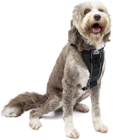 Kurgo Tru-Fit Smart Harness, Black, Large by Kurgo