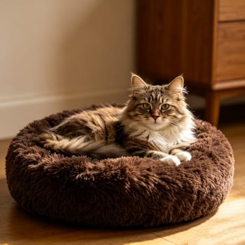 Cat Beds for Indoor Cats - Cat Bed Washable 20/24 inches, Dog Beds for Small Medium Dogs, Anti Anxiety Round Fluffy Plush Faux Fur Pet Bed, Thick Bottom (Coffee, Medium) - Image 3
