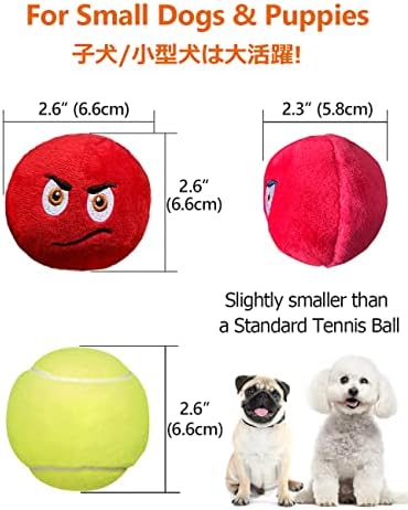 SCHITEC Squeaky Dog Toys, [6 Pack] Soft Stuffed Plush Balls with Squeakers, Interactive Fetch Play for Puppy Small Pets - Image 5