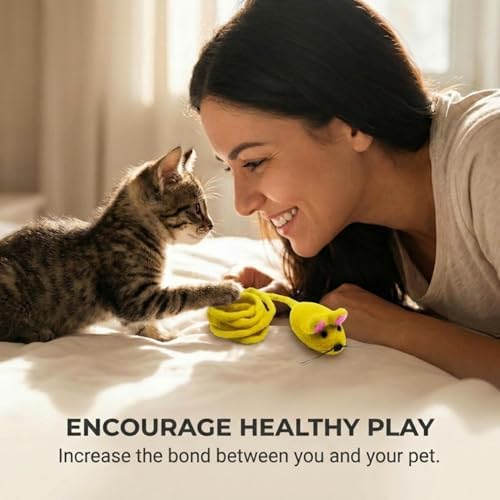 Glaciart One Felt Mouse Cat Toy – Soft Fuzzy Enrichment 100% Natural Wool - Interactive Catnip Play Cat Toy Set - Safe for Pets, Non-AZO Colored Dyes - 42” Long - Image 4